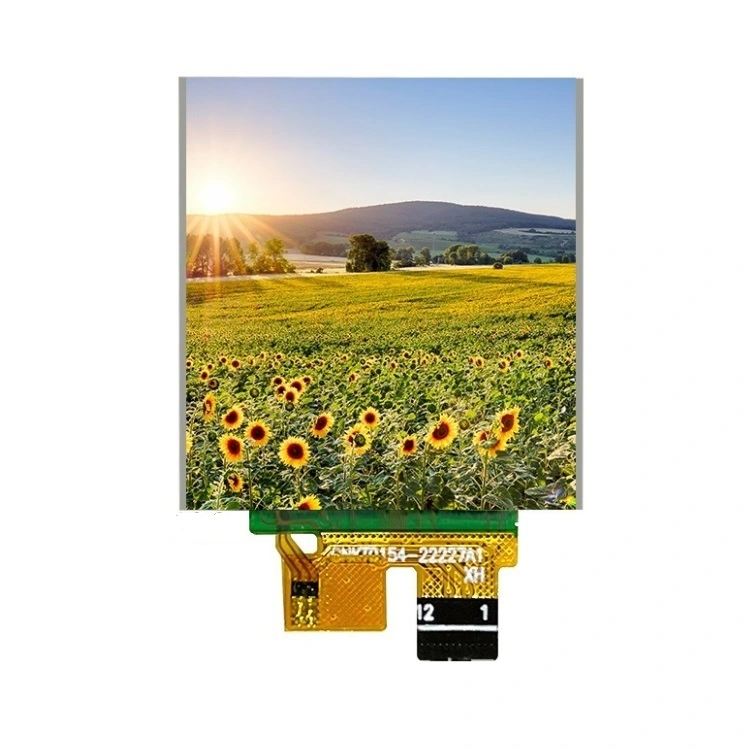 Paparan LCD TFT 1.54 inci